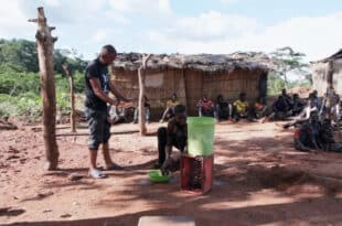 Zambia expects cholera vaccines as death toll rises