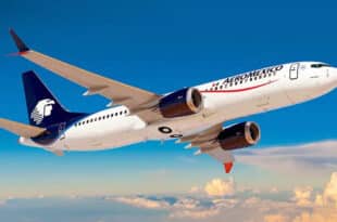 Airline offers 90 free tickets to baby born mid-flight