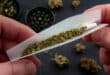 Germany legalizes cannabis for recreational use from April 1