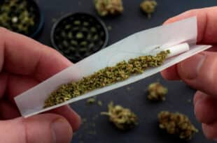 Germany legalizes cannabis for recreational use from April 1