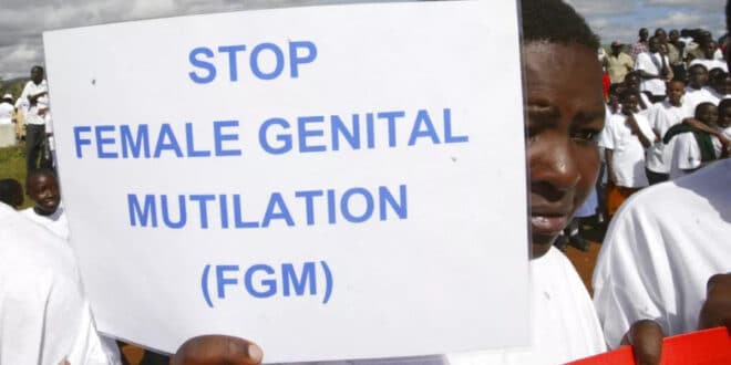 UN calls on The Gambia to withdraw bill removing ban on FGM