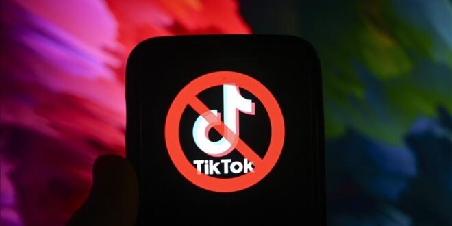 US elected officials announce desire to ban TikTok