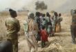 Nigeria to free 313 suspected Boko Haram insurgents