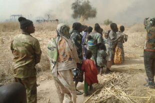 Nigeria to free 313 suspected Boko Haram insurgents