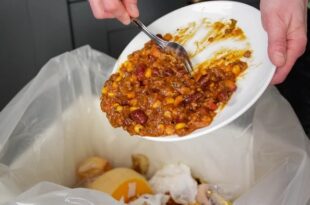 One billion tonnes of food wasted in 2022
