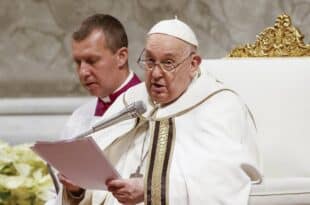 Pope Francis renews call for peace