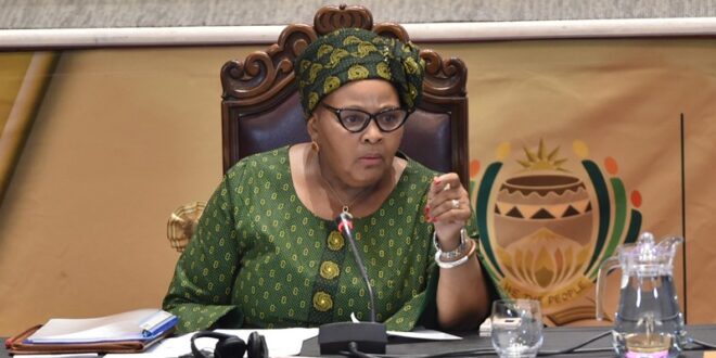 South African Parliament Speaker Mapisa-Nqakula resigns