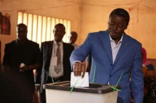 Togo postpones elections to focus on new constitution