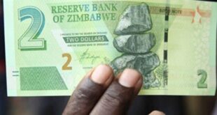 ZiG, Zimbabwe's new currency