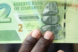 ZiG, Zimbabwe's new currency