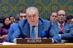 Algeria proposes UN action to stop military offensive in Rafah