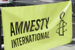 Amnesty International reacts after deadly raid on Nigeria's village