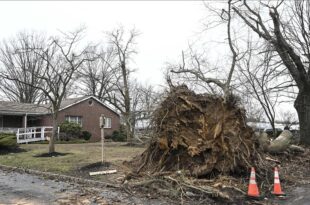 Death toll rises to 19 in the US after the passage of tornadoes