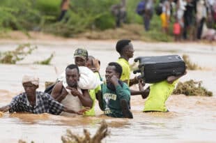 Dozens of new cholera cases recorded after floods in Kenya