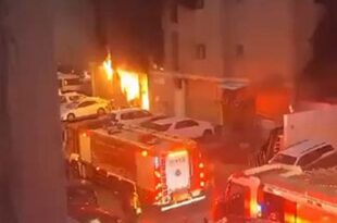 France: a violent fire shakes the Pyrénées-Orientales region