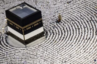 At least 550 pilgrims mostly Egyptians died from heat during hajj in Mecca