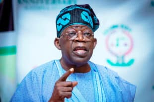 Nigeria: the government aims to revitalize the agricultural sector