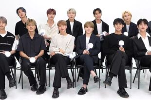 K-pop group Seventeen to become UNESCO ambassador