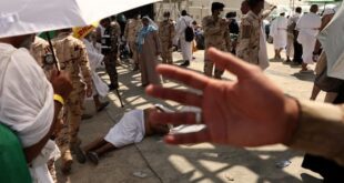 More than 1,000 pilgrims killed by heat in Mecca