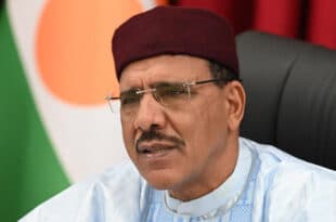 Niger's ousted president Bazoum loses his immunity