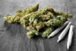 US governor overturns more than 175,000 cannabis-related convictions