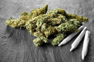 US governor overturns more than 175,000 cannabis-related convictions