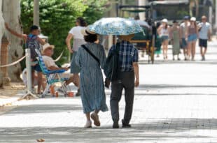 At least 21 dead in 24 hours in Morocco after a new heat wave