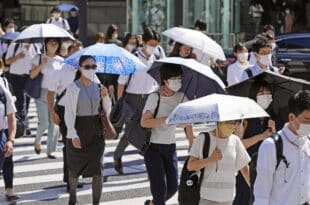 At least six deaths in 72 hours in Japan due to extreme heat