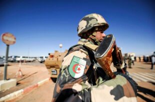 At least three armed terrorists killed in northern Algeria