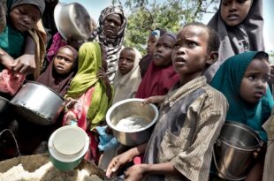 Global hunger situation has not improved in 2023, UN agencies say
