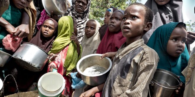 Global hunger situation has not improved in 2023, UN agencies say