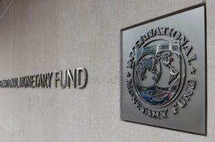 IMF approves release of $820 million for Egypt and calls for reforms