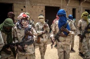 Over 20 killed in attack on central Mali village
