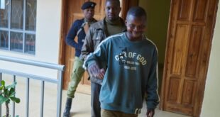 Tanzanian artist accused of burning president's portrait jailed