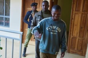 Tanzanian artist accused of burning president's portrait jailed