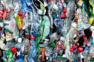 US federal government to stop purchasing single-use plastics
