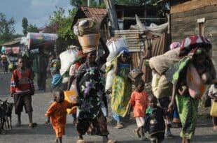 US welcomes humanitarian truce in DR Congo