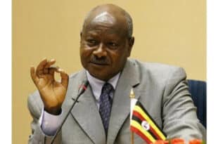 Ugandan TikToker sentenced for insulting president