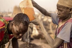 A tribe bathes in cow urine to fight infection