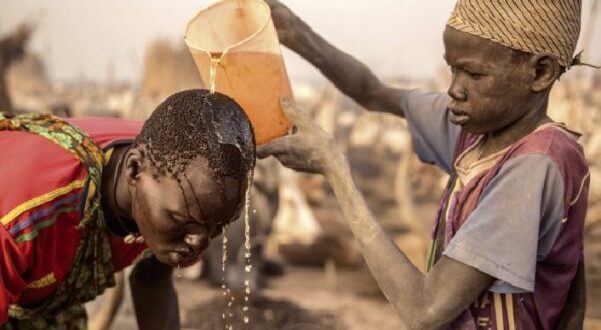 A tribe bathes in cow urine to fight infection