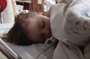 3-year-old girl hospitalized after being attacked by black bear
