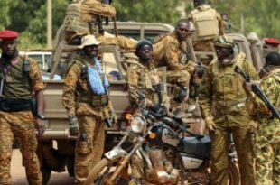 Terrorist threat in the Sahel: Niger and Nigeria join forces