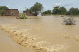 60 dead after dam fall in Sudan