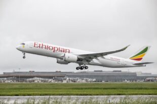 Ethiopian Airlines suspends flights to neighbouring Eritrea