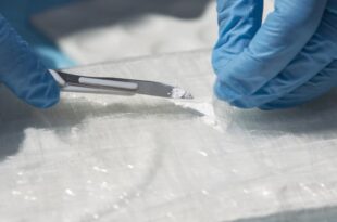 Senegal customs seize cocaine shipments