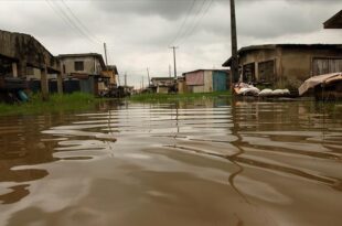 Nigeria: millions displaced by flooding