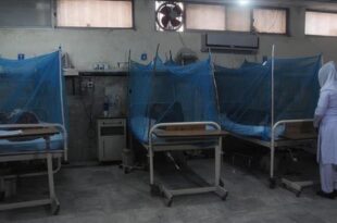 Sudan: cholera death toll rises to 235
