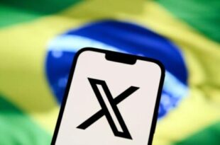 Brazil: Social network X makes a comeback
