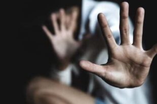 a toll-free number to report sexual harassment at school