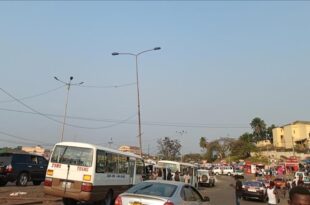 Gabon: new Constitution approved by referendum